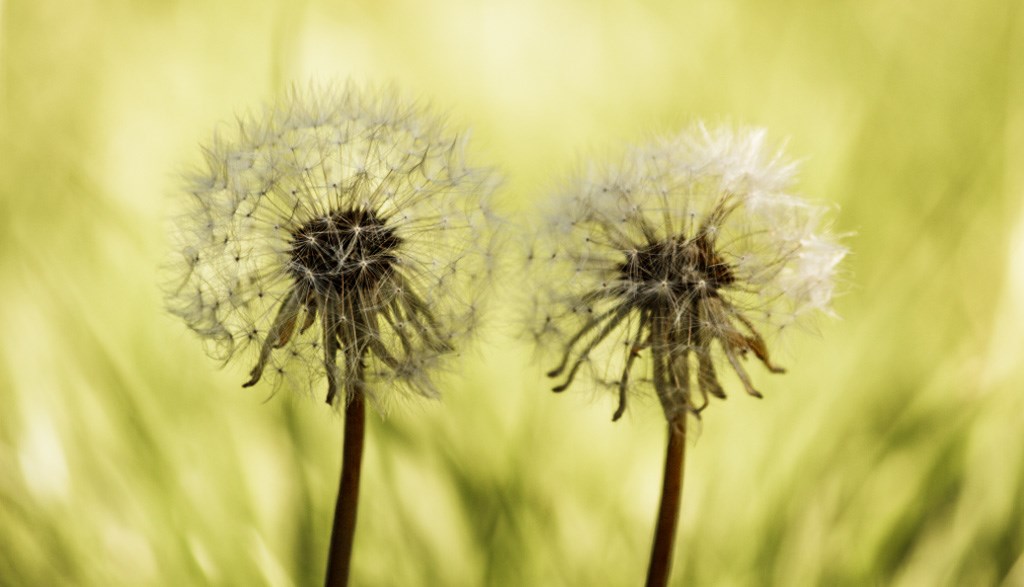 Ingen beskrivning tillgänglig