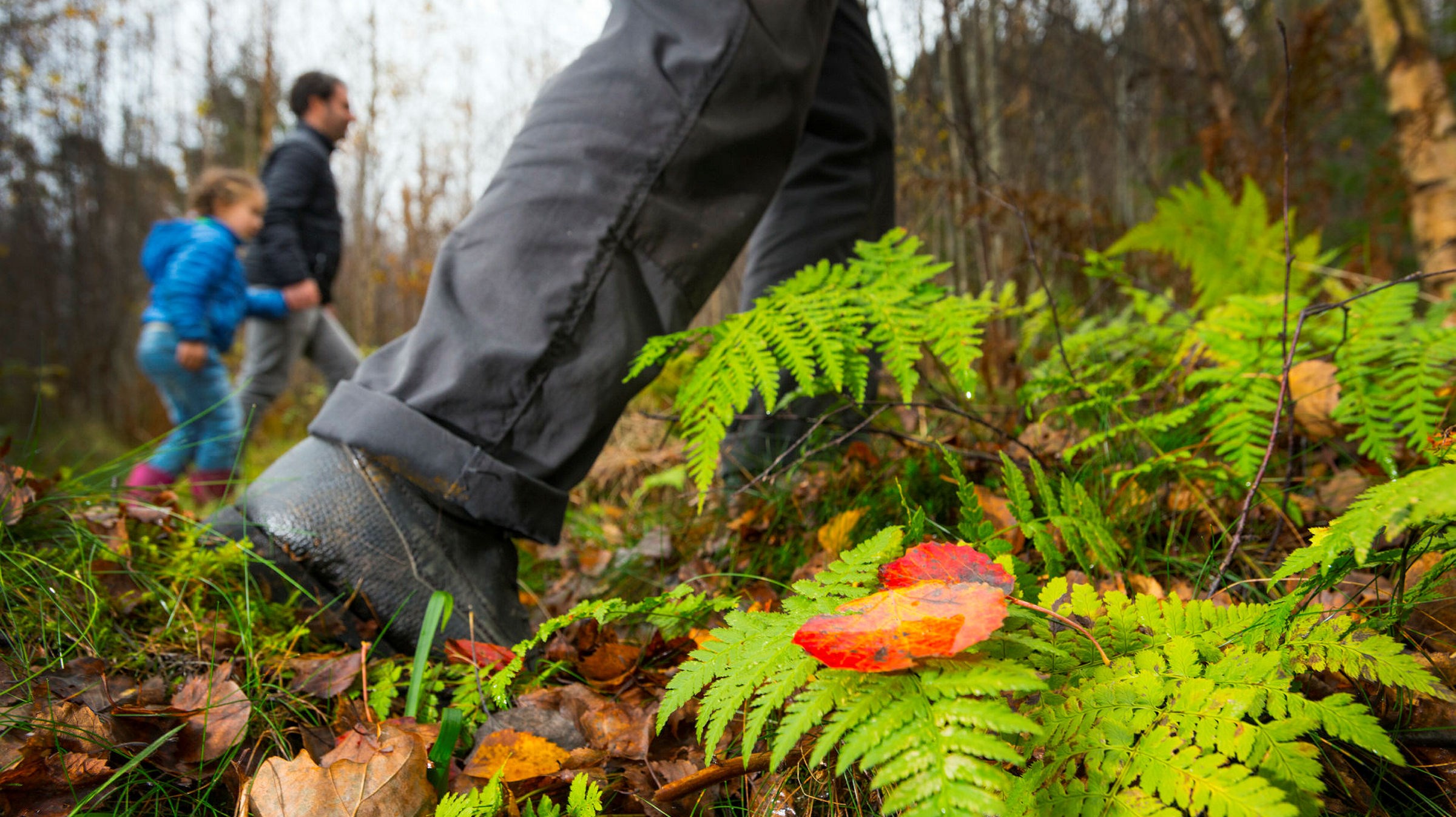 Ingen beskrivning tillgänglig