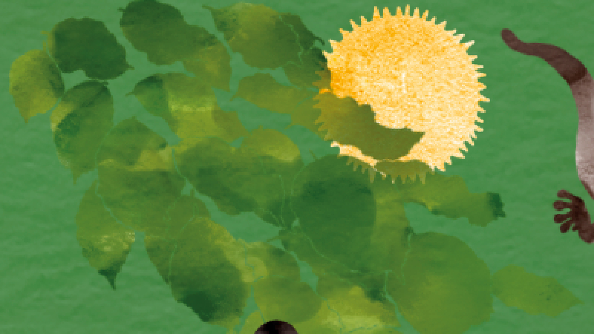 Ingen beskrivning tillgänglig