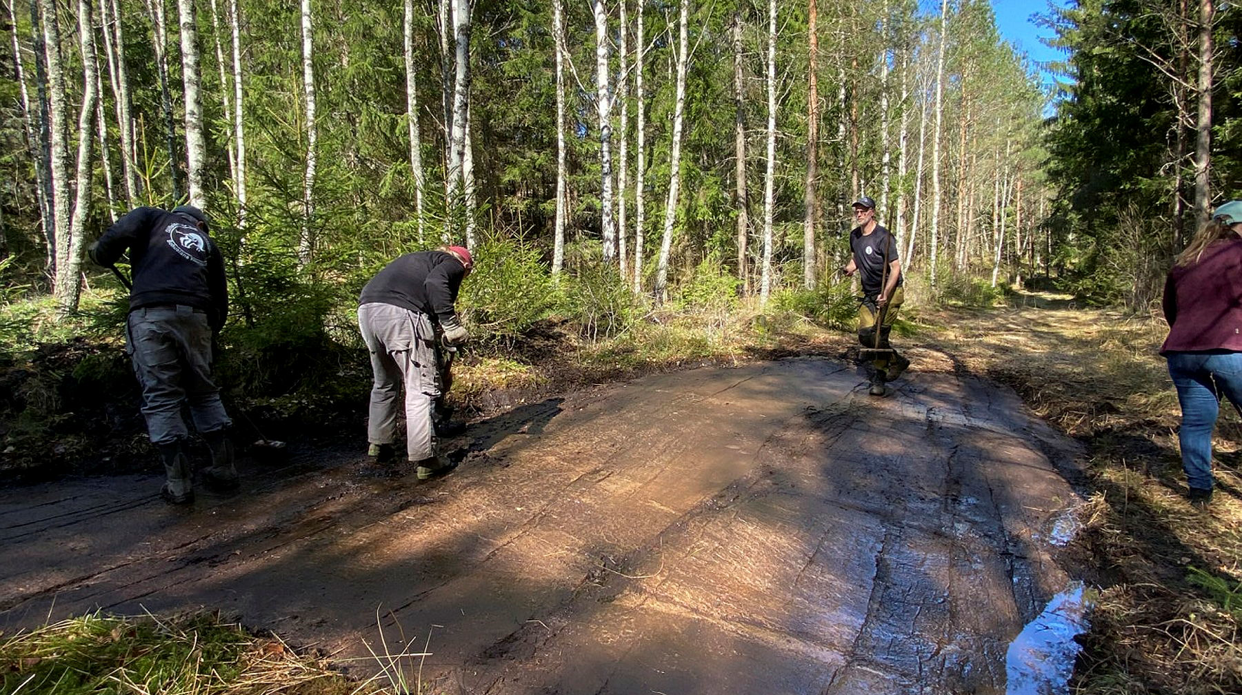Hällristningsområdet i Tanum.
