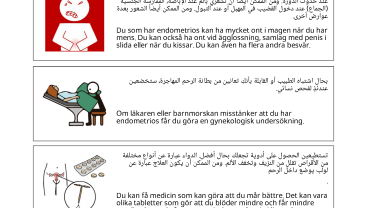 Information om endometrios