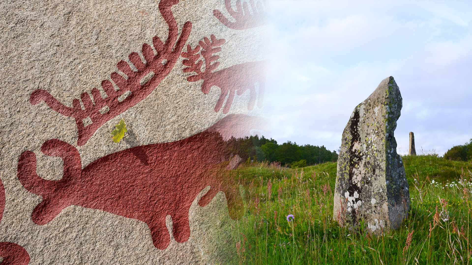 Ingen beskrivning tillgänglig