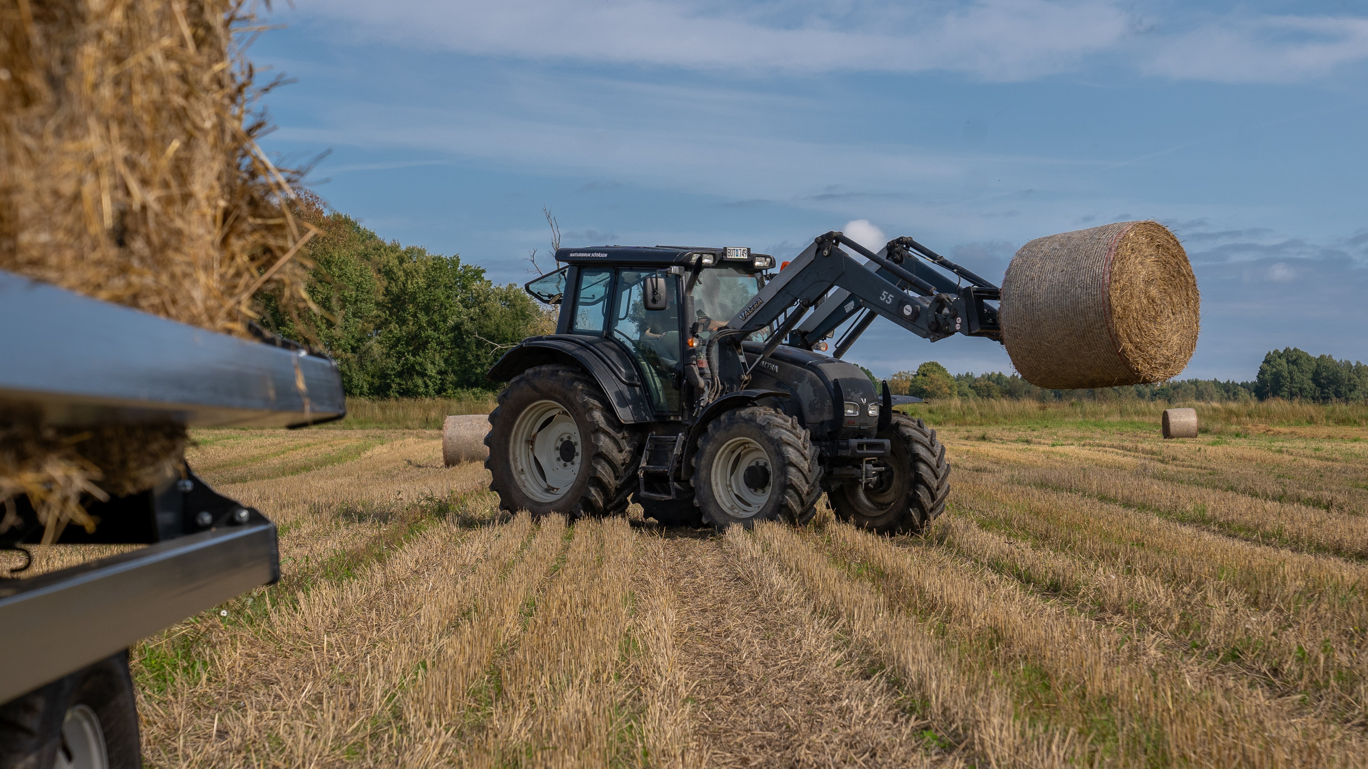 Traktor med lastare lyfter upp halmbal på skördat fält med balvagn i förgrunden