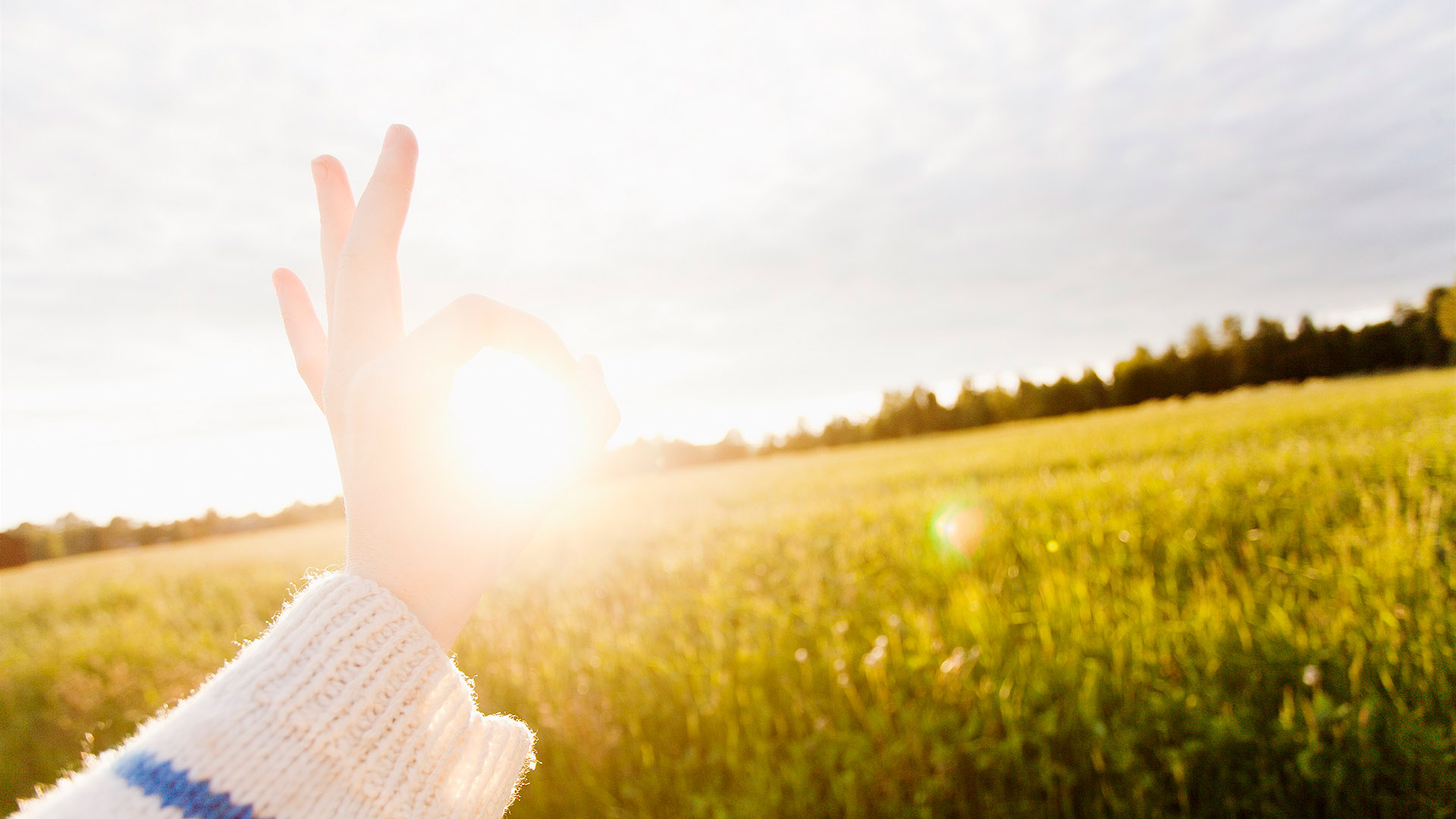 Ingen beskrivning tillgänglig