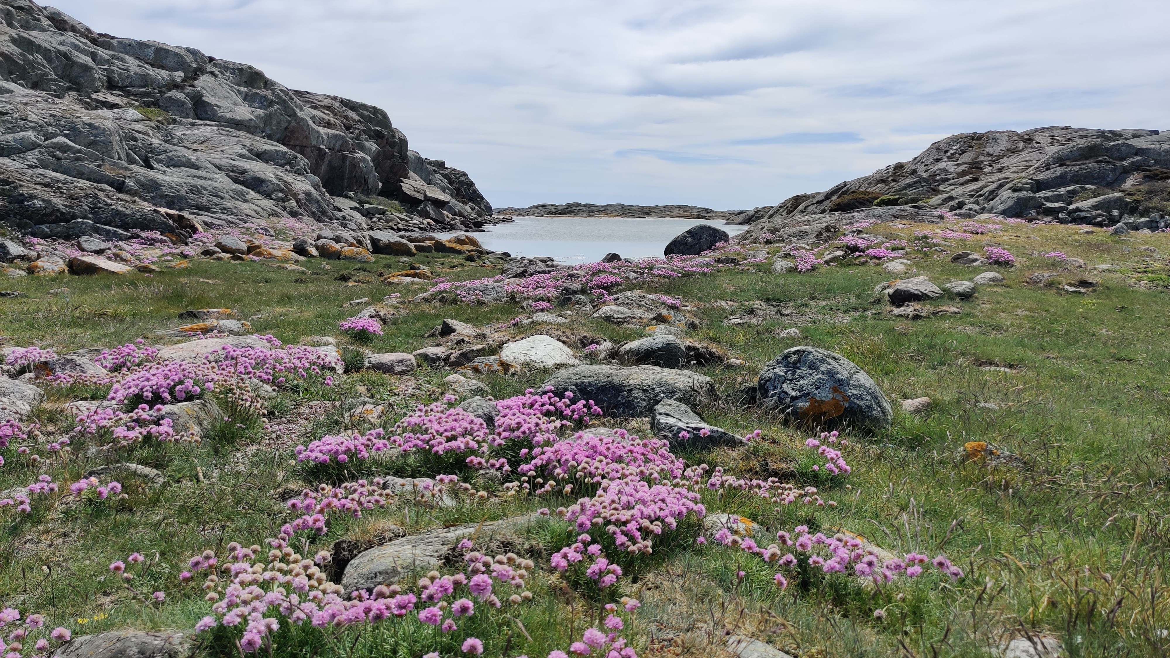 Ingen beskrivning tillgänglig