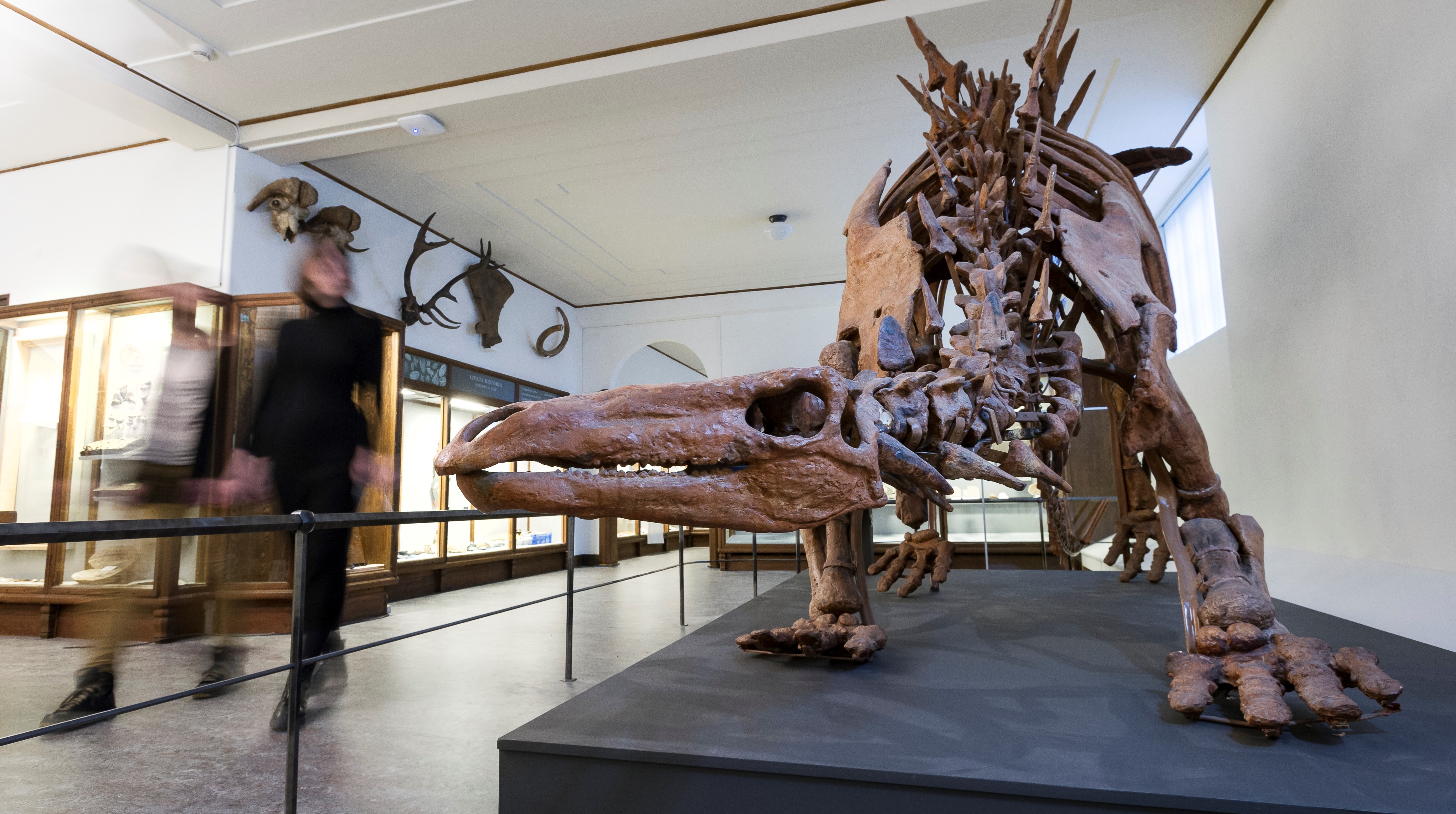 Ingen beskrivning tillgänglig