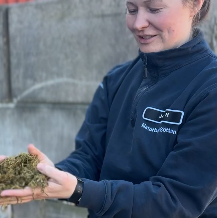 Jenny håller i torkat gräs